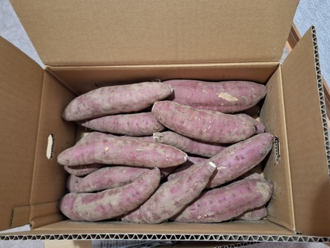 掘りたてでもおいしい！【さつま紅はるか】元気にスタート！かごしまのさつまいもはそのやま農園　“さつま紅はるか”　使い勝手の良いML品  掘りたてでもおいしい→貯蔵して超絶おいしい！5ｋｇ　有機ＪＡＳ