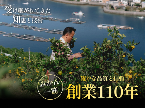 愛媛みかんの老舗厳選『極早生みかん 11kg』（愛媛県産・ご家庭用）｜爽やかな甘酸っぱさとみずみずしい果汁