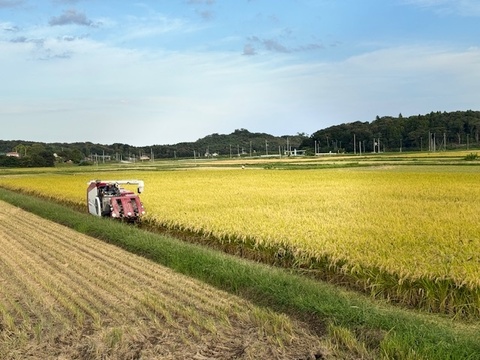 野どか菜セット①
肉厚プリプリ生きくらげ(黒)120g×2Pと宮城県令和7年度産ツヤツヤひとめぼれ1㎏のセット