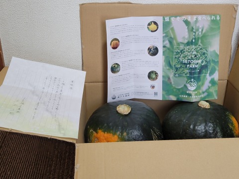 ★ほっこりした甘み、濃厚な味わい★熟成 ブラックのジョー(約3㎏/2玉)[化学農薬・化学肥料不使用]