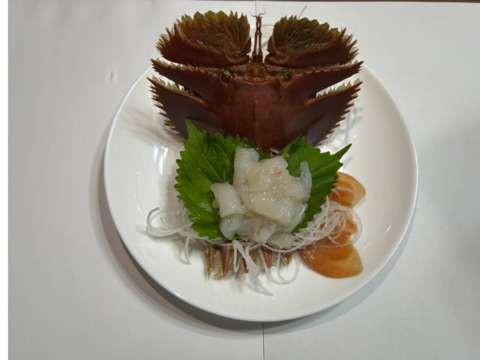 うちわえび 500g