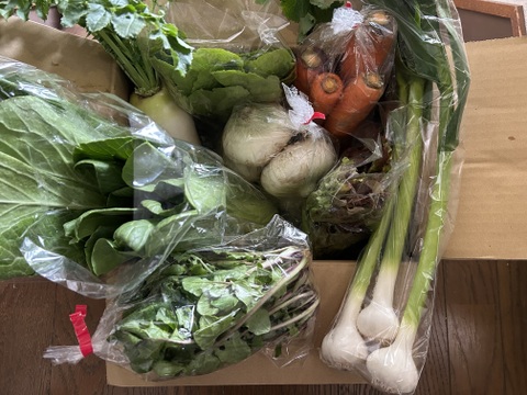 旬＊お試し野菜セット(６～7品目)