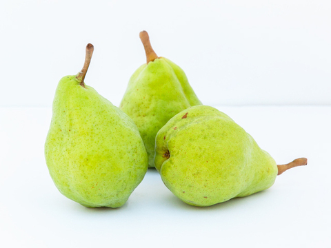 信州産　ル・レクチェ　ルレクチェ　約5kg（10～20玉）　洋ナシ　西洋なし