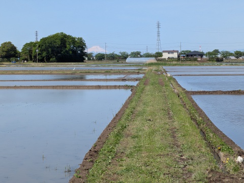 【令和7年新米】コシヒカリ 特別栽培米（2kg 精米）
