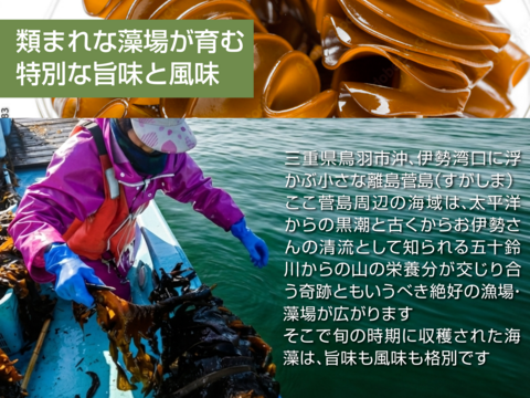 ネバトロ！【産地直送】たたきめかぶ200ｇパック5本 伊勢志摩産　鳥羽市の離島・菅島沿岸で収穫！　人気のおみやげ　鳥羽のお土産28選　NIPPONFOODSHIFT入賞商品