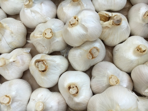【疲労からの起死回生】ニューホワイト六片（1kg）※バラ売り