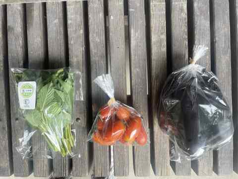 【有機JAS】旬の野菜セット お試しサイズ　3-4品目（60サイズ）