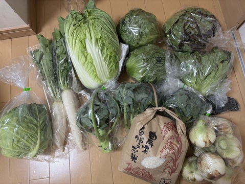 淡路島　野菜セット