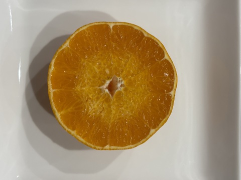 【柑橘食べ比べ】佐賀県太良町産おまかせセット♩ひぜんユース＋はるか+不知火（箱込3㎏）家庭用