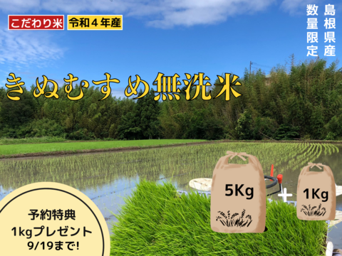 予約特典【令和4年新米・無洗米・特A】6㎏ こだわり米　きぬむすめ　栽培期間化学肥料不使用