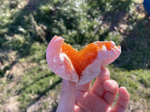 超特大！！4Lサイズ市田柿(1㎏袋)干し柿