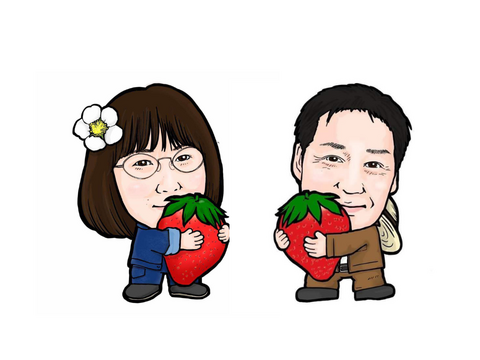 W【ギフト】宮城県産「完熟の大玉スターナイト」24粒～30粒ギフト箱入り