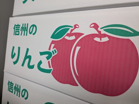 信州りんご🍎C品8キロ