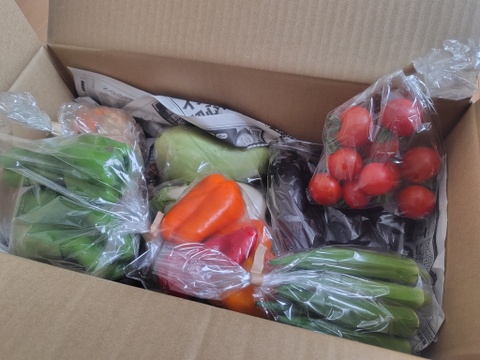 【初回限定BOX】使いやすいお野菜セット※おススメレシピ付き‼