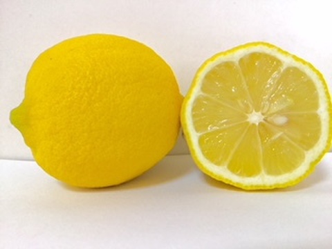 柑土里（レモン愛果）1.5～1.8kg（段々畑の陽だまり育ち）