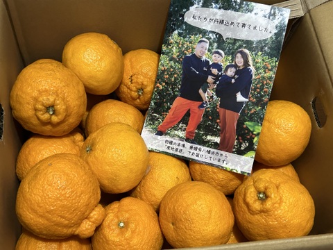 【高級柑橘】デコ（不知火）10㎏ (３L～４L玉)