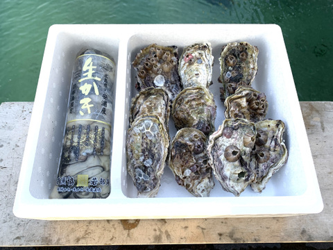 美味しさを大切な人に。広島産生牡蠣セット化粧箱入り　殻つき10個＋むき身400g　生商用　お歳暮用　清浄海域