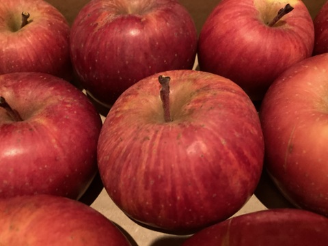 【今だけお買い得！訳あり★50%OFF★】家庭用葉とらずふじりんご5㎏【長野県産】