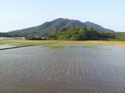 農薬・除草剤不使用の玄米セット「にこまる・ヒノヒカリ・夢つくし」(各１kg) 特別栽培米