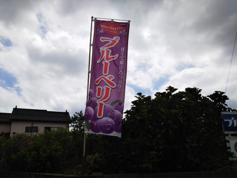 《訳あり》冷凍ブルーベリー２Kg 甘〜い！ お買い得！！