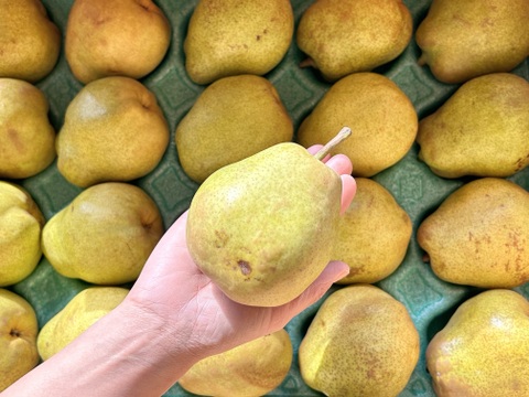 フードロスにご協力下さい‼️山形県産ラフランス【訳あり小玉5キロ】