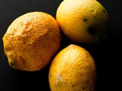 【広島県産】瀬戸田しまなみレモンC品(3kg) 栽培期間中農薬不使用