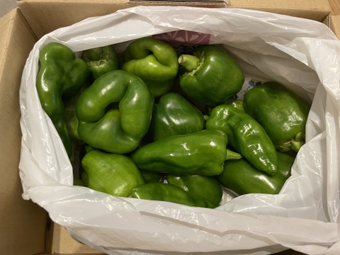 サイズMix！ピーマン1キロ(18個以上