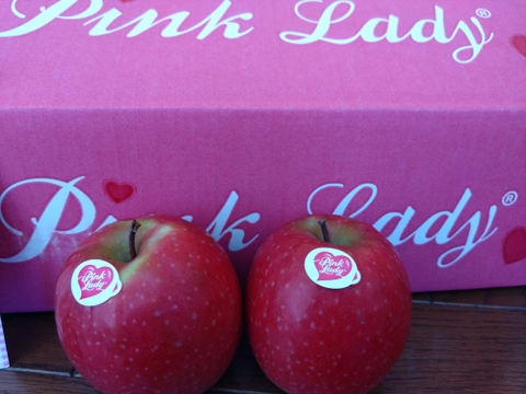 キュンとくる酸味りんご❗　ピンクレディー®（12個から16個）箱含め3キロ