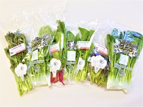 植物性で育てた葉野菜ブランド　 有機サラダミニセット　  有機JAS
