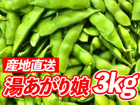 風味豊かな枝豆！宮崎県産『湯あがり娘3kg』200g×15袋