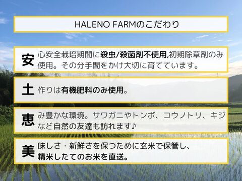 【令和6年新米】無洗米・特A 10㎏ 優良金賞受賞米　きぬむすめ　栽培期間化学肥料不使用