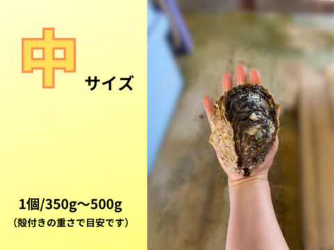 【6、7月限定】牡蠣とウニの詰合せ①（カキ中5個、ウニ1瓶）　※日付指定不可