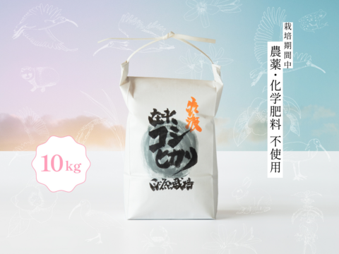 【予約商品】【令和7年新米】潮風香る田んぼでトキと育った新潟県佐渡産 自然栽培『在来コシヒカリ』 玄米10kg