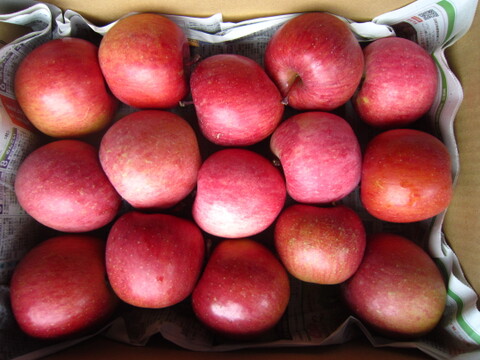 樹上完熟サンふじ 御贈答用には惜しい総重量 約4.5kg前後 青森県 南部地方産 自家りんご農園生産直送品！