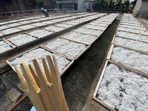 最上品★網元が作る天日干しシラス 化粧箱入り