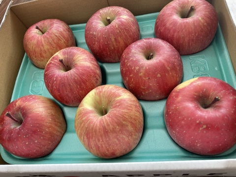 農薬半減栽培【キズなし良品】低農薬で皮ごとうまい🍎サンふじ🍎3kg  葉とらずりんご 旬 化学肥料不使用 特別栽培認証取得