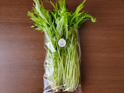 農薬不使用でサラダもできるシャキシャキ水菜1kg