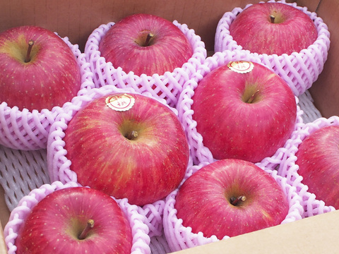 蜜入りりんごの代表格 サンふじ🍎 2キロ (6〜9玉)  ギフト 予約 りんご 農薬節減 さんふじ【11月上旬〜】