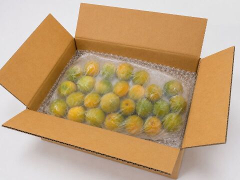 2026年収穫分】京都青谷産 冷凍青梅 約1kg 青梅 少々斑点傷あり