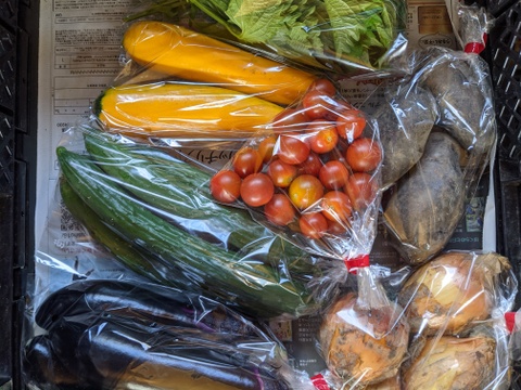 【農薬化学肥料不使用】四季のとれたて野菜少量セット(約7種)