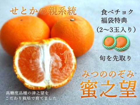 【甘～い柑橘福袋】年末発送！甘～い定番みかんや希少柑橘の食べ比べ！家族でワイワイ♪♪人気４品種が楽しめる！「旬のこだわり柑橘食べ比べ福袋」　サイズ混合　ご家庭用　約3kg入　【商品番号1102-3k】