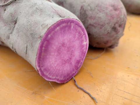 【お菓子作りを楽しもう】炭で育てた紫芋3.5kg　☆美味しく食べてSDGsに貢献できます☆