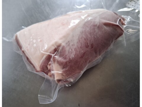 ジビエ　イノシシ　モモ　ブロック　570g