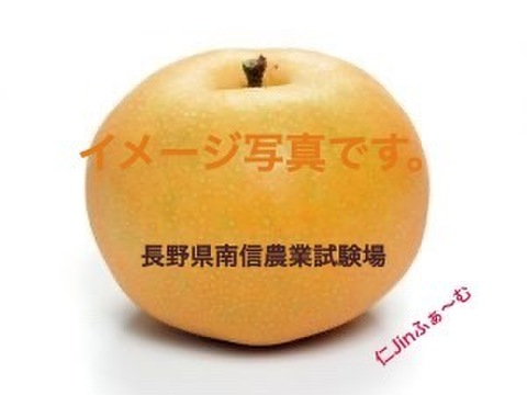 【南水】長野県「オリジナル品種」
良品6~12玉（宅配80サイズ）サイズ不揃いです。