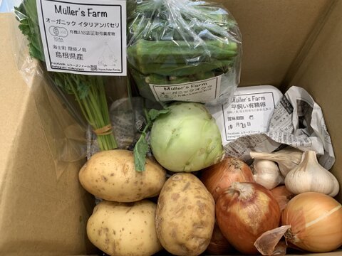 【有機JAS認証取得】🌱安心島の旬野菜と平飼いたまご10個セット🥬🥚Organic Vegetables&10Eggs