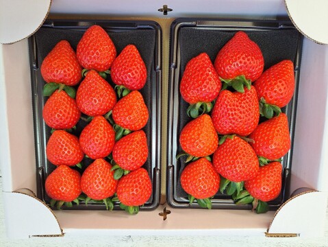 埼玉いちご「あまりん」270ｇ×2ｐ