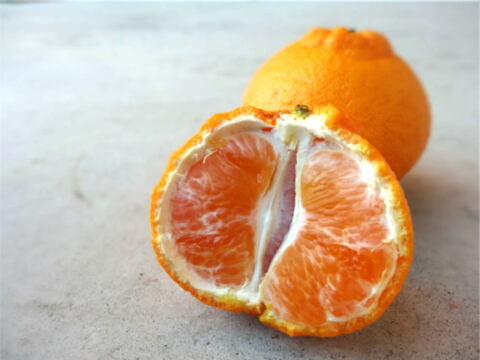 【柑橘食べ比べ】お手頃価格で旬のこだわり柑橘をまるごと楽しむ！４～７種類入り！何の品種が入っているかは「お楽しみかん」 ご家庭用　約2.25kg入　【商品番号】【999】