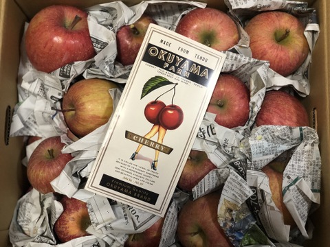 『訳あり りんご』サンふじ　りんご　10kg