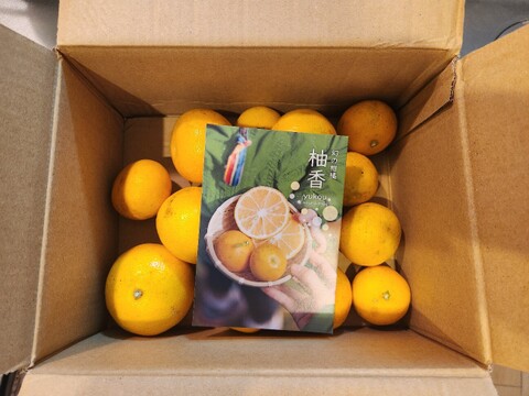 完熟ゆこう　1000g
生産量が少なくスーパーでは出回らない「幻の果実」京都の料亭では欠かせない存在であり、近年はヨーロッパのシェフたちにも愛さるローカル柑橘