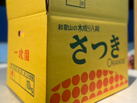 【木成り八朔】箱込み10キロ家庭用　※皮むき器つき　さつき八朔　はっさく